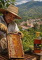 Miel de Origen Anzoátegui, Tolima 500g | Miel Pura 100% Natural | Recolectada Artesanalmente | Notas Cítricas de Limón | Sin Azúcar Añadida | Sin Conservantes | Envase de Vidrio - Miniatura 3