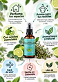 Panavayu Bruma aromatizante Caricia del Nevado 100 ml | Limón, eucalipto y tomillo | Para ambientes y textiles | Hecha en Colombia - Miniatura 2
