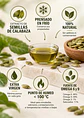 Óleo Seeds Aceite de Calabaza Extra Virgen 450 ml | Prensado en frío | 100% natural | Sin aditivos ni conservantes | Colombia - Miniatura 2