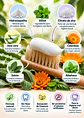 Denti Essence Crema Dental Natural sin Flúor 90 g | Hidroxiapatita, Xilitol, Zinc y Extractos Botánicos |  Colombia - Miniatura 2