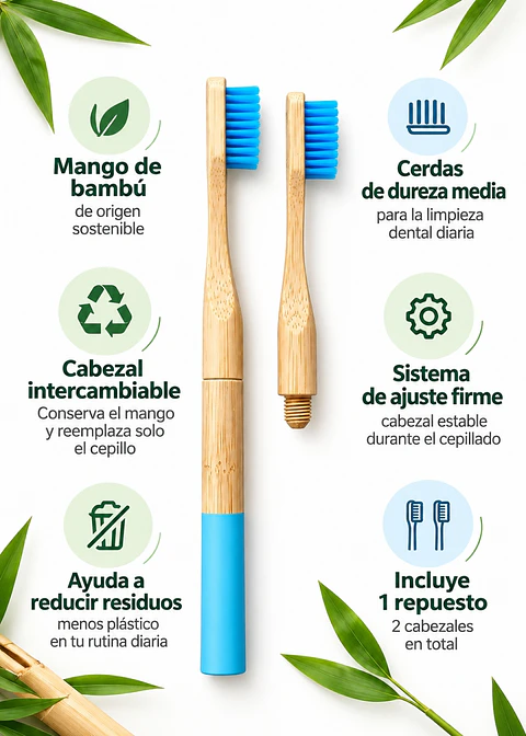 Cepillo Dental de Bambú Intercambiable Hooli | Mango Reutilizable + 1 Cabezal de Repuesto | Cuidado Bucal