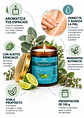 Panavayu Vela Aromática Humectante Caricia del Nevado 100 g | Doble Propósito: Aromatiza y Nutre la Piel | Aceites Esenciales de Limón, Eucalipto y Tomillo | Colombia - Miniatura 2
