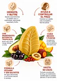 Panavayu Tratamiento Capilar Sólido Hidratación y Nutrición 50 g | Burití, Açaí, Arazá, Mango, Achiote y Cacay | Cabello Seco, Dañado y con Frizz | Hasta 60 Usos - Miniatura 2