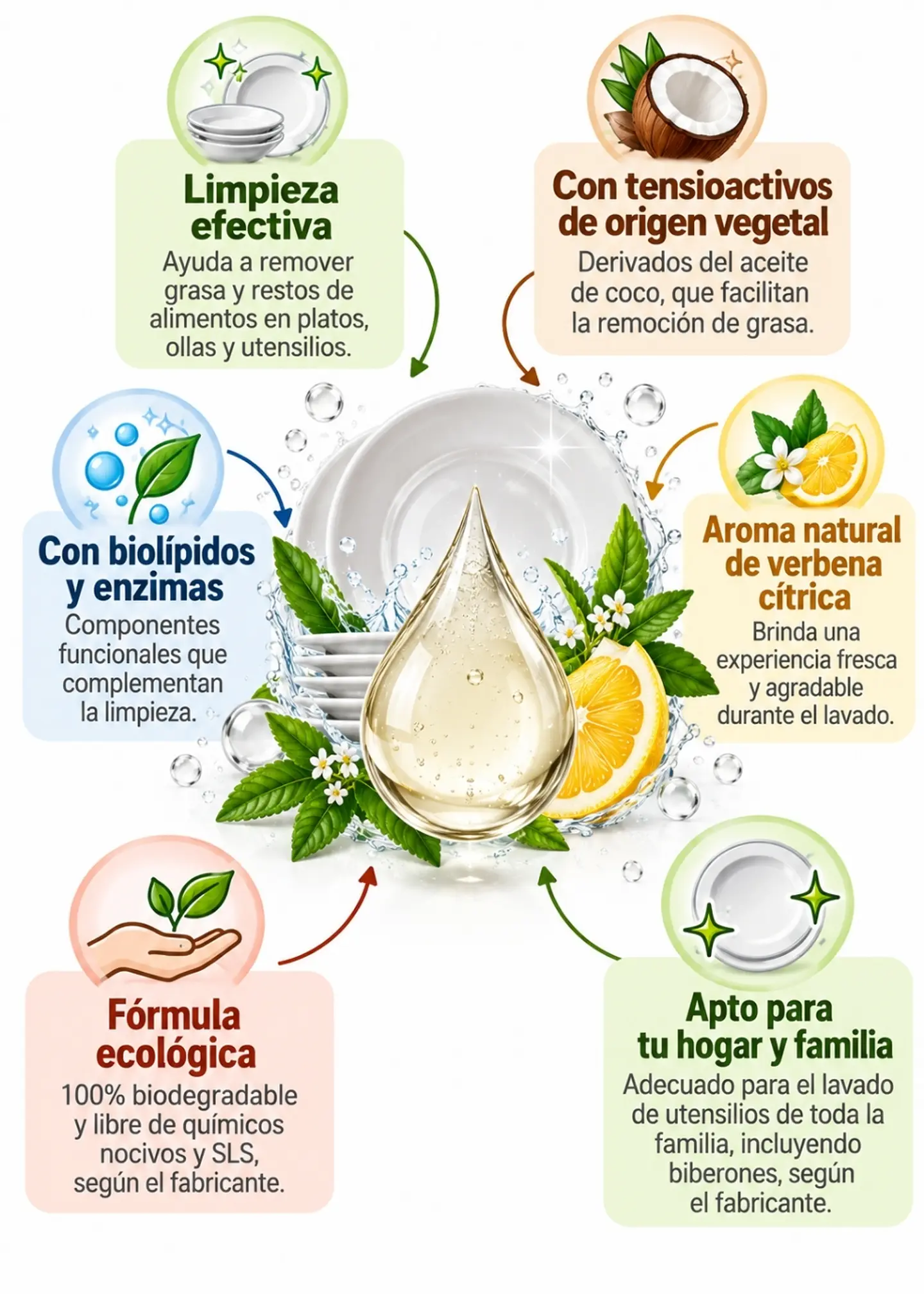 Biogar Lavaloza Ecológico Verbena Cítrica 1 Galón (3,785 L) | Limpieza Antigrasa de Platos y Utensilios | Con Biolípidos y Enzimas | Aroma Natural 2