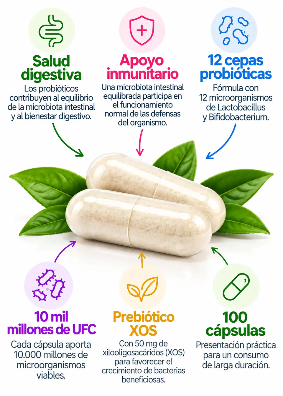 Trunature Advanced Digestive Probiotic | 12 Cepas | 10 Mil Millones UFC + Prebiótico XOS | 100 Cápsulas | Salud Digestiva y Microbiota Intestinal 2