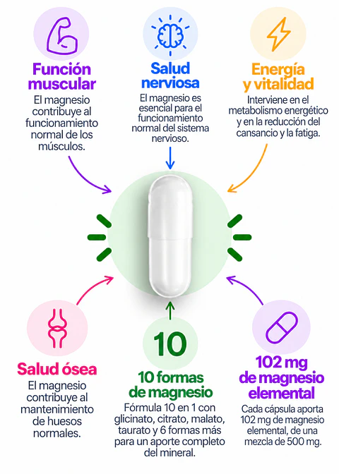 Deal Supplements® Complejo de Magnesio 10 en 1 | 500 mg de Mezcla | 102 mg de Magnesio Elemental | 240 Cápsulas Vegetarianas | Función Muscular, Nerviosa y Energía| Importado EE.UU. | Colombia