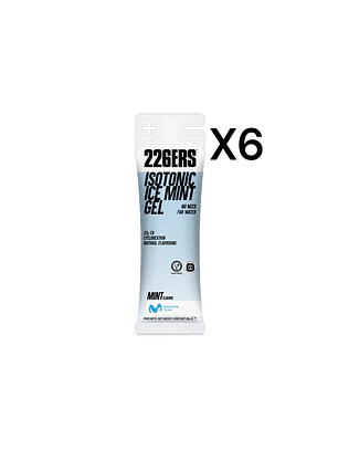 226ERS ISOTONIC GEL ICE MINT PACK 6