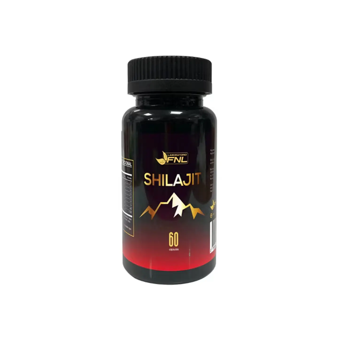 shilajit 800mg 1