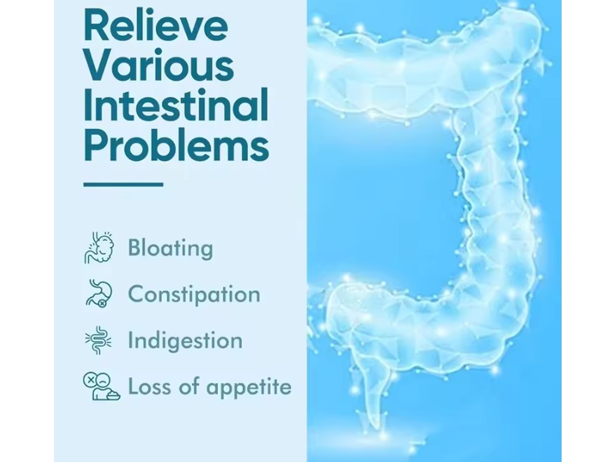 Akkermansia Probióticos 300 Billion AFR – 60 cápsulas 3