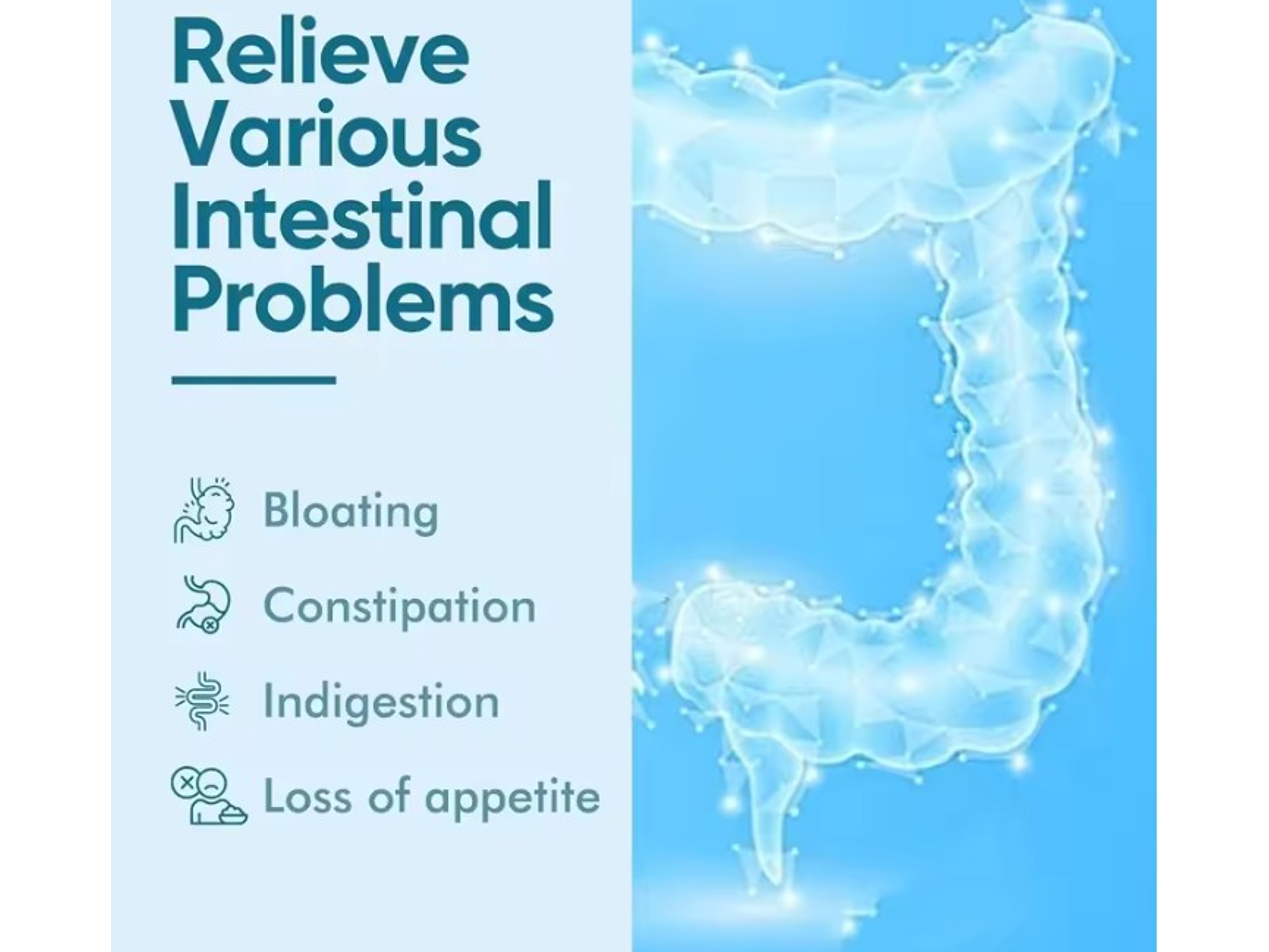 Akkermansia Probióticos 300 Billion AFR – 60 cápsulas 3