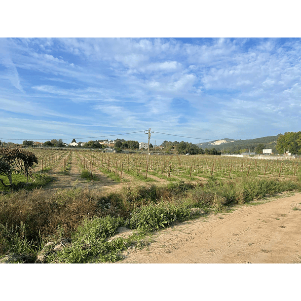 Poste metálico V-PRO em Aço  CORTEN  5