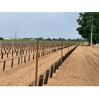 Poste metálico V-PRO em Aço  CORTEN  2