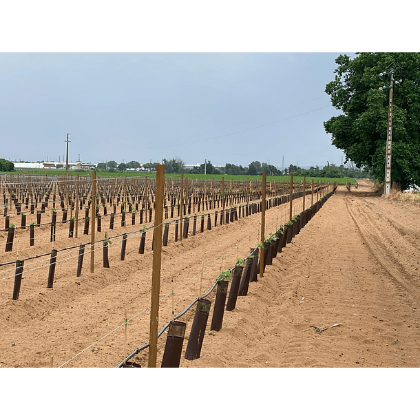 Poste metálico V-PRO em Aço  CORTEN  2