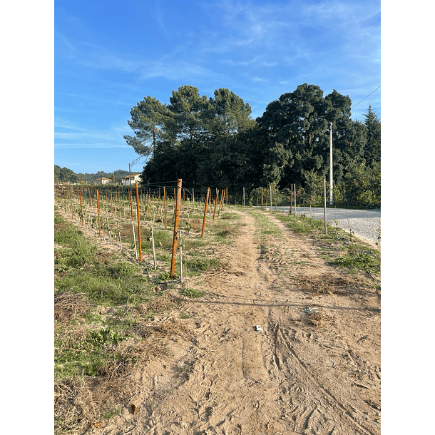 Poste metálico V-PRO em Aço  CORTEN  4