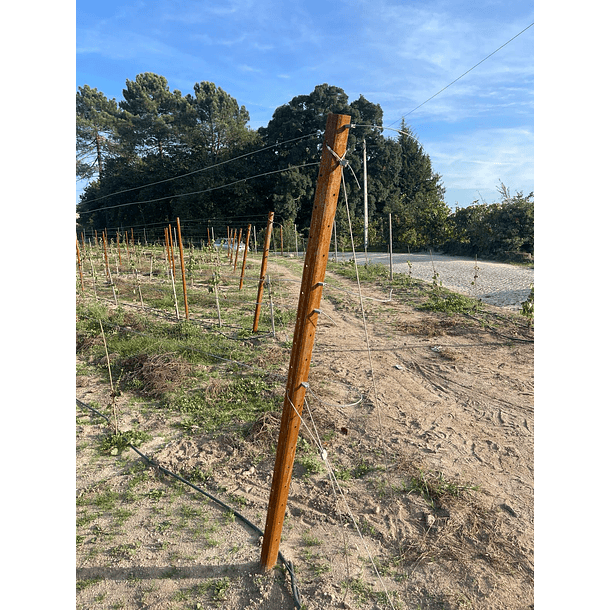 Poste metálico V-PRO em Aço  CORTEN  3