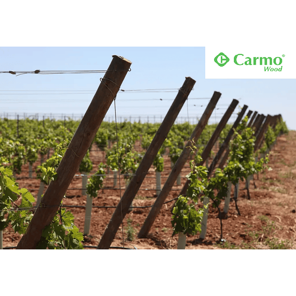 Postes de Madeira CARMO 1