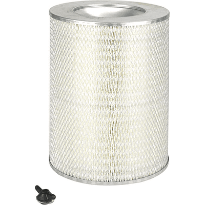 P526428 - Filtro de ar primário