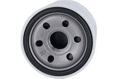 P502024 - Filtro de óleo roscado Donaldson