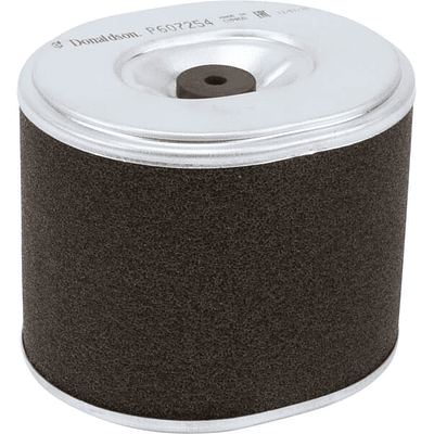 P607254GJ - Filtro de ar 2