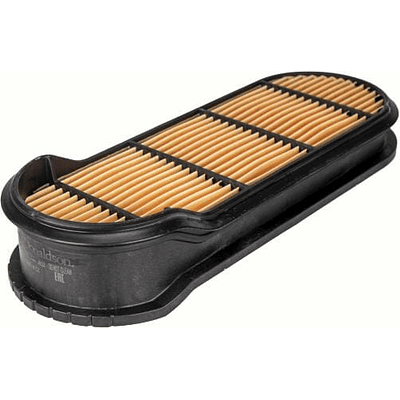 P957732 - Filtro de ar, segurança Obround