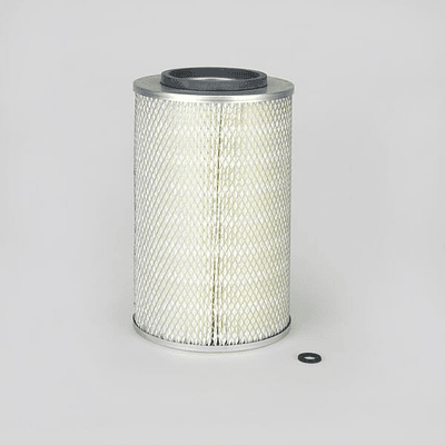 P771502 - Filtro de ar exterior