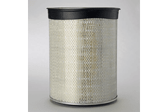 P181193 - Filtro de ar exterior