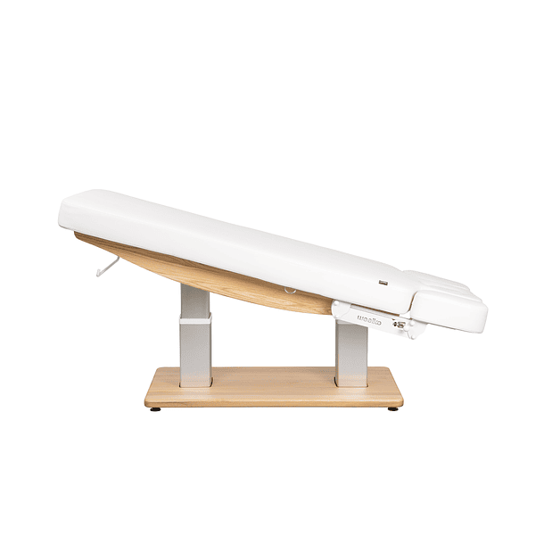 Marquesa de Spa Elétrica TROCH Smart 4 Motores 5