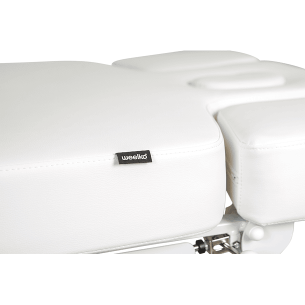 Marquesa de Spa Elétrica TROCH Smart 4 Motores 11