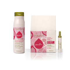 Biomed Kit Antiqueda Sazonal – Shampoo 250ml + Ampolas 12x6ml