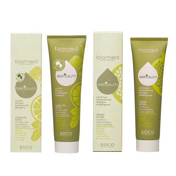 Biomed Conjunto Hair Detox Couro Cabeludo Oleoso 2un 2