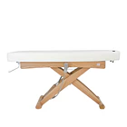 Marquesa Elétrica de Massagem Spa 3 Motores CYX - Weelko 3