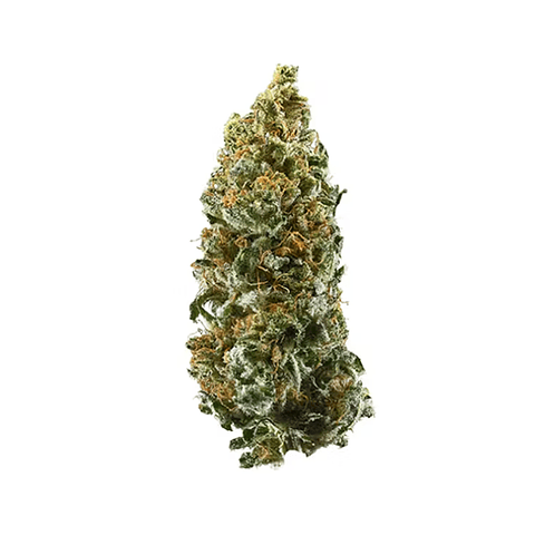 VittaCBD  Cannatonic  (Greenhouse) - Colheita 2023