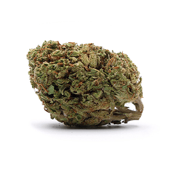 VittaCBD Harlequin (Greenhouse)