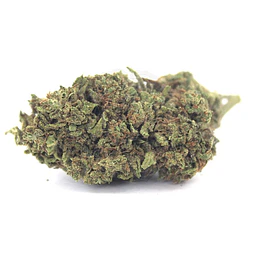 VittaCBD Watermelon  (Greenhouse) 