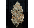 Weneed MELA SOUR  (Indoor)  3,5g