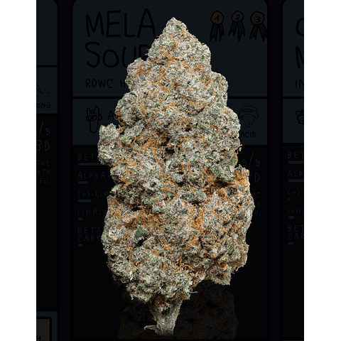 Weneed MELA SOUR  (Indoor)  3,5g