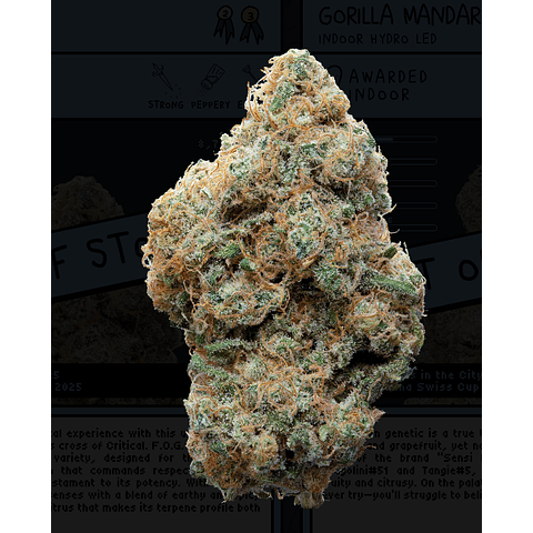 Weneed F.O.G (Indoor)  3,5g   