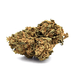 VittaCBD Pineapple (Greenhouse) - COLHEITA 2023