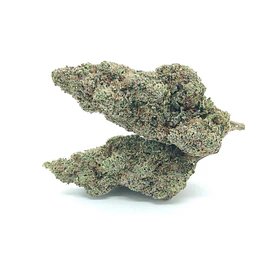 VittaCBD Plutonium (Greenhouse ) Colheita 2023 