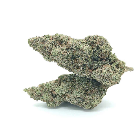 VittaCBD Plutonium (Greenhouse ) Colheita 2023 