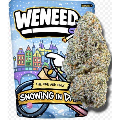 Weneed  Snowing in Dam (Indoor)  3,5g 