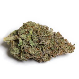 VittaCBD Cali Kiwi (Greenhouse) 