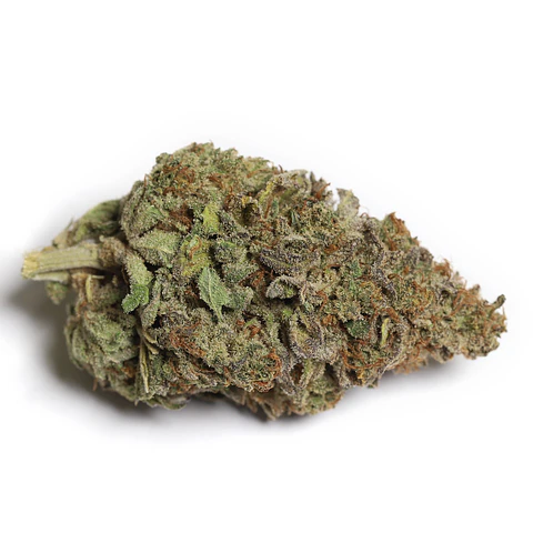 VittaCBD Cali Kiwi (Greenhouse) 