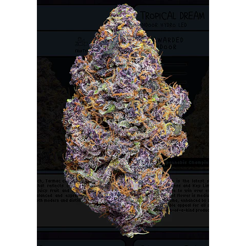 Weneed Tarmac (Indoor)  3,5g    
