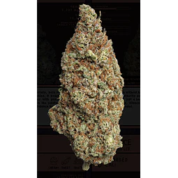 Weneed Godfather OG  (Indoor)  3,5g   