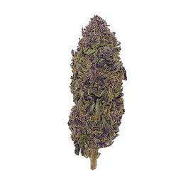VittaCBD Purple Auto (Greenhouse)  