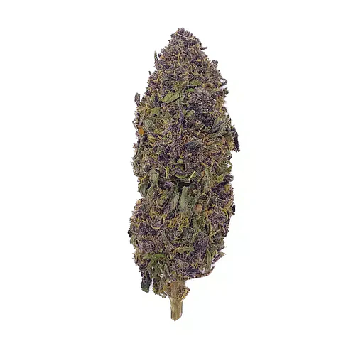 VittaCBD Purple Auto (Greenhouse)  