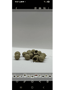 Amêndoas Italianas de Chocolate e Café com Grão de Café