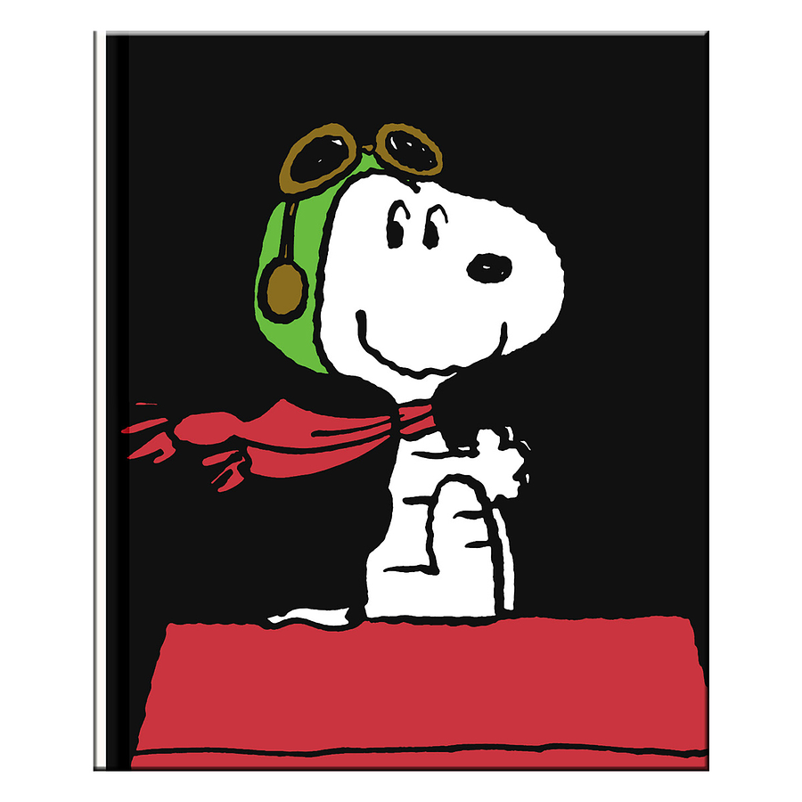 Set 3 mini cuadarnos Snoopy