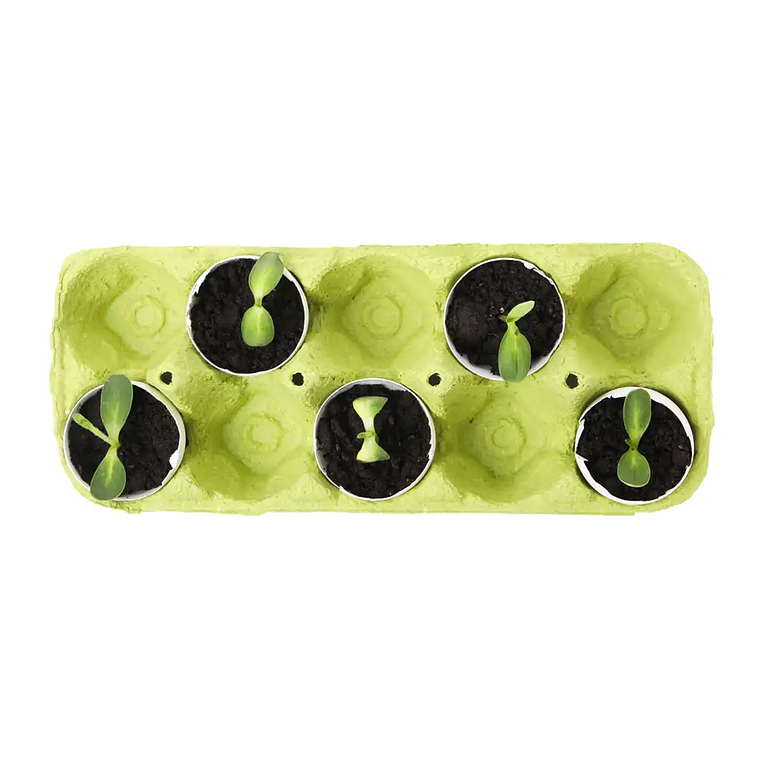 Kit de inicio de semillas de demostración 3